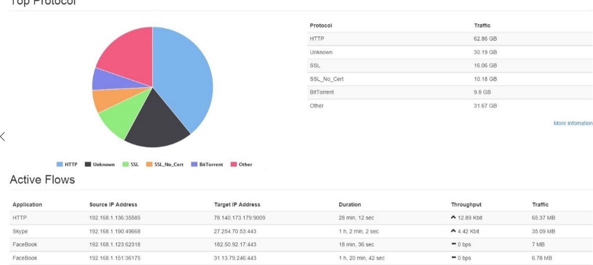 Log Active Flows